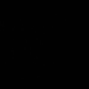 Meet your Posher, Ronaldo